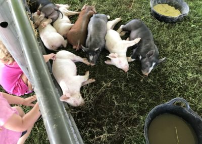 20170916_161840358_iOS