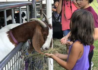 20170916_161943941_iOS