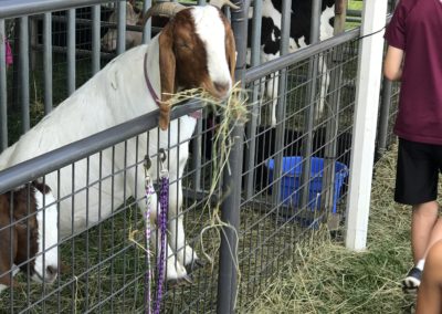 20170916_161959455_iOS